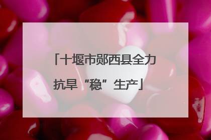 十堰市郧西县全力抗旱“稳”生产