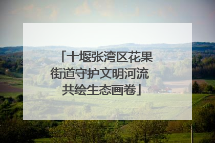 十堰张湾区花果街道守护文明河流 共绘生态画卷