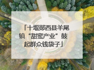 十堰郧西县羊尾镇“甜蜜产业”鼓起群众钱袋子