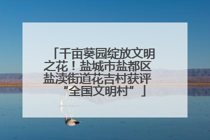 千亩葵园绽放文明之花！盐城市盐都区盐渎街道花吉村获评“全国文明村”