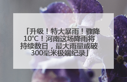 升级！特大暴雨！骤降10℃！河南这场降雨将持续数日，最大雨量或破300毫米极端纪录