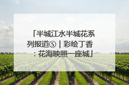 半城江水半城花系列报道⑤｜彩绘丁香：花海映照一座城