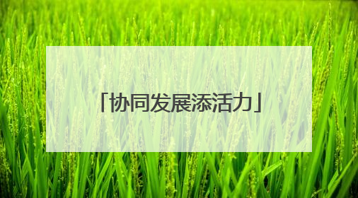 协同发展添活力