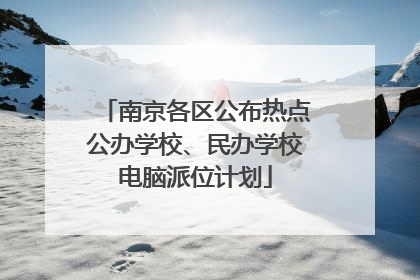 南京各区公布热点公办学校、民办学校电脑派位计划
