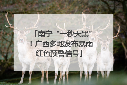 南宁“一秒天黑”！广西多地发布暴雨红色预警信号