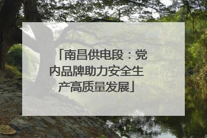 南昌供电段：党内品牌助力安全生产高质量发展
