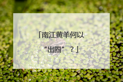 南江黄羊何以“出圈”？