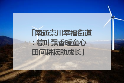 南通崇川幸福街道：粽叶飘香暖童心 田间耕耘助成长