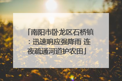 南阳市卧龙区石桥镇：迅速响应强降雨 连夜疏通河道护农田