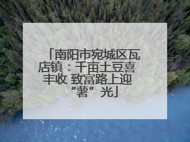 南阳市宛城区瓦店镇：千亩土豆喜丰收 致富路上迎“薯”光