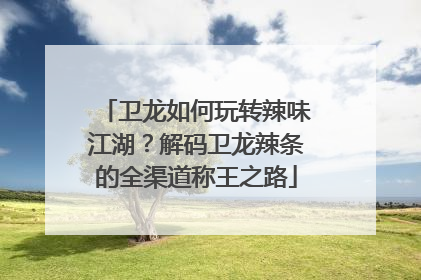 卫龙如何玩转辣味江湖？解码卫龙辣条的全渠道称王之路