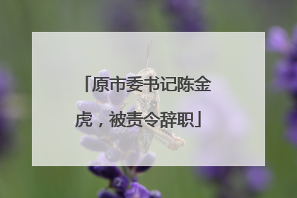 原市委书记陈金虎，被责令辞职