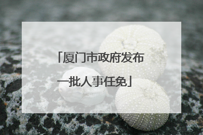 厦门市政府发布一批人事任免
