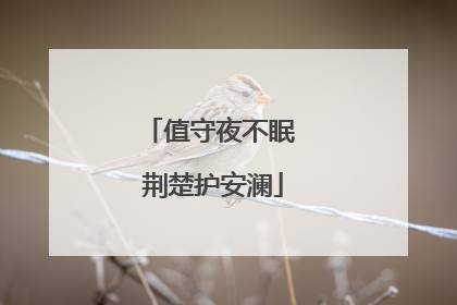 值守夜不眠 荆楚护安澜