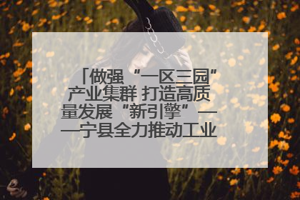 做强“一区三园”产业集群 打造高质量发展“新引擎”——宁县全力推动工业经济提质增效