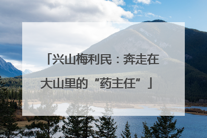 兴山梅利民：奔走在大山里的“药主任”