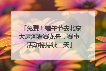 免费！端午节去北京大运河看赛龙舟，赛事活动将持续三天