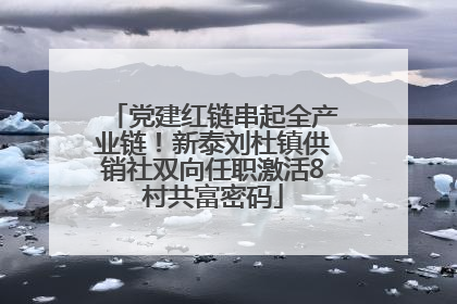 党建红链串起全产业链！新泰刘杜镇供销社双向任职激活8村共富密码