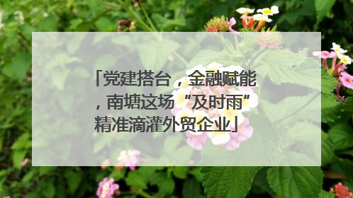 党建搭台，金融赋能，南塘这场“及时雨”精准滴灌外贸企业