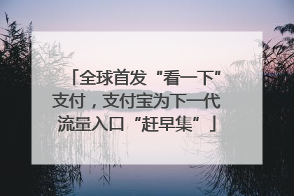 全球首发“看一下”支付，支付宝为下一代流量入口“赶早集”