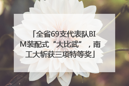 全省69支代表队BIM装配式“大比武”，南工大斩获三项特等奖