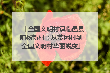 全国文明村镇临邑县前杨新村：从贫困村到全国文明村华丽蜕变