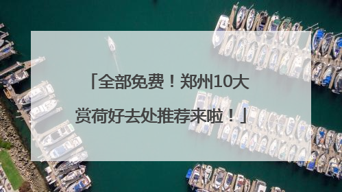 全部免费！郑州10大赏荷好去处推荐来啦！
