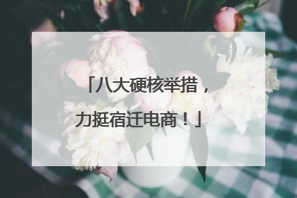 八大硬核举措，力挺宿迁电商！