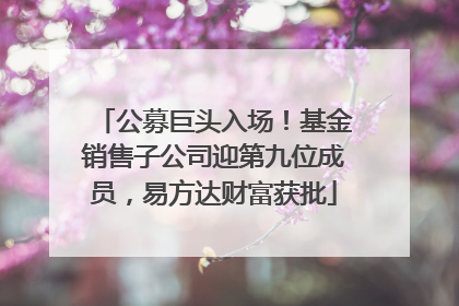 公募巨头入场！基金销售子公司迎第九位成员，易方达财富获批