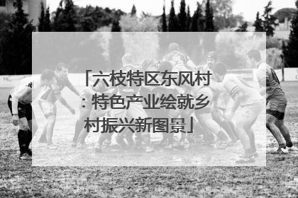 六枝特区东风村：特色产业绘就乡村振兴新图景