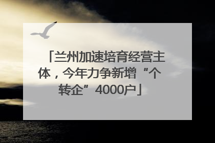 兰州加速培育经营主体，今年力争新增“个转企”4000户