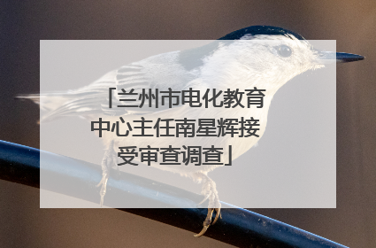 兰州市电化教育中心主任南星辉接受审查调查