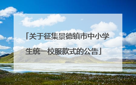 关于征集景德镇市中小学生统一校服款式的公告
