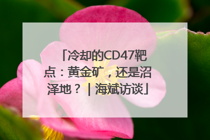 冷却的CD47靶点：黄金矿，还是沼泽地？｜海斌访谈