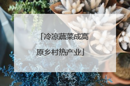 冷凉蔬菜成高原乡村热产业