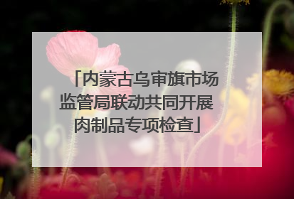 内蒙古乌审旗市场监管局联动共同开展肉制品专项检查