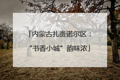 内蒙古扎赉诺尔区：“书香小城”韵味浓