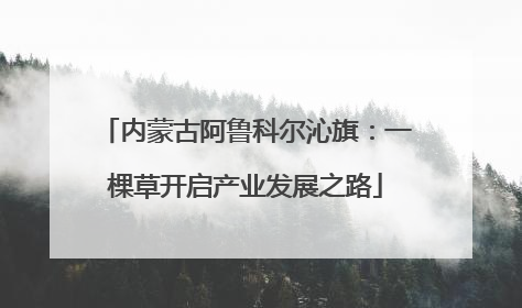 内蒙古阿鲁科尔沁旗：一棵草开启产业发展之路