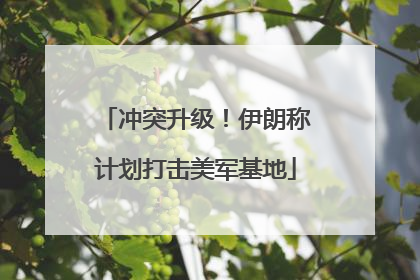 冲突升级！伊朗称计划打击美军基地