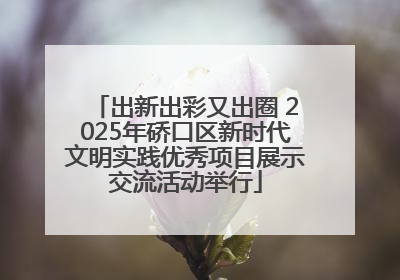 出新出彩又出圈 2025年硚口区新时代文明实践优秀项目展示交流活动举行
