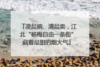 凌晨摘、清晨卖，江北“杨梅自由一条街”藏着最甜的烟火气