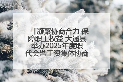 凝聚协商合力 保障职工权益 大通县举办2025年度职代会暨工资集体协商现场观摩交流活动