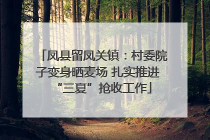 凤县留凤关镇：村委院子变身晒麦场 扎实推进“三夏”抢收工作