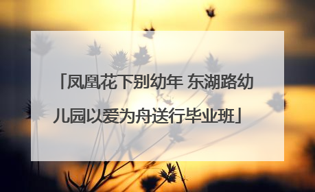 凤凰花下别幼年 东湖路幼儿园以爱为舟送行毕业班