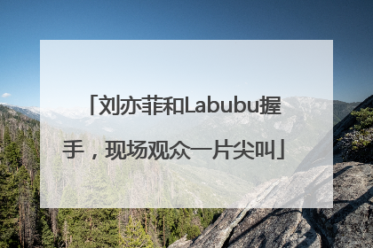 刘亦菲和Labubu握手，现场观众一片尖叫