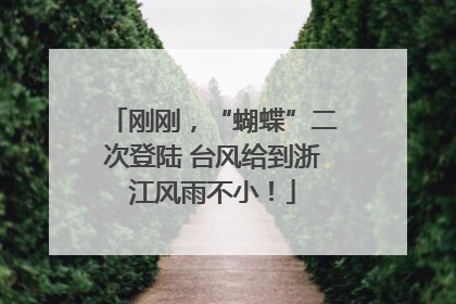 刚刚，“蝴蝶”二次登陆 台风给到浙江风雨不小！