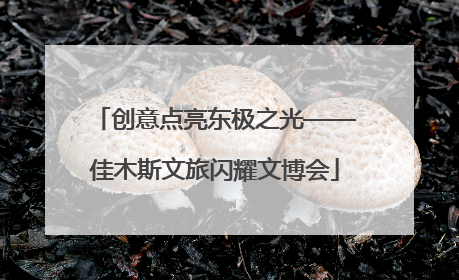 创意点亮东极之光——佳木斯文旅闪耀文博会