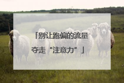 别让跑偏的流量夺走“注意力”