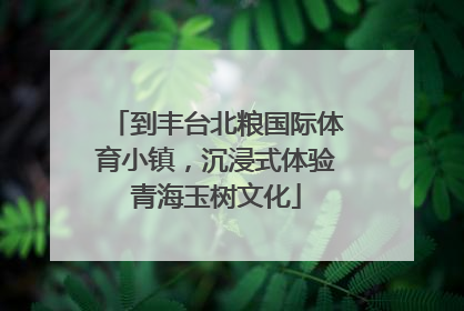 到丰台北粮国际体育小镇，沉浸式体验青海玉树文化