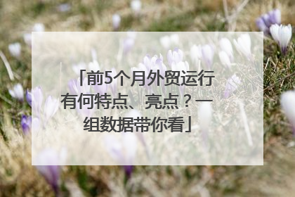 前5个月外贸运行有何特点、亮点？一组数据带你看